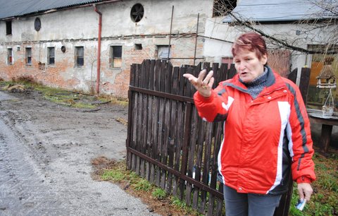 Farmářku stíhá rána za ránou: Nejdřív povodně, teď zloději