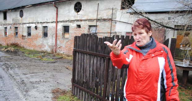 Farmářka Jana Marcolová ukazuje, kudy zloději s traktorem ze statku odjeli. Poničili bránu i lektrický ohradník.