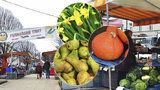 Sezona zahájena: Farmářské trhy na Tyláku dostaly nový kabát, přibudou festivaly jídla i tematické trhy