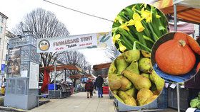 Farmářské trhy na Tyláku budou lepší než kdy dřív. Nový pořadatel plánuje street food festivaly i tematické trhy.