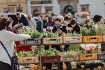 Farmářské trhy budou opět o sobotách v centru Plzně.