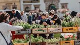 Farmářské trhy jsou zpět: O sobotách jim bude patřit centrum Plzně  