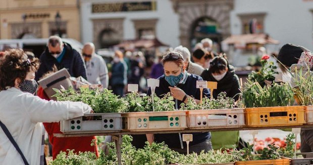 Farmářské trhy budou opět o sobotách v centru Plzně.