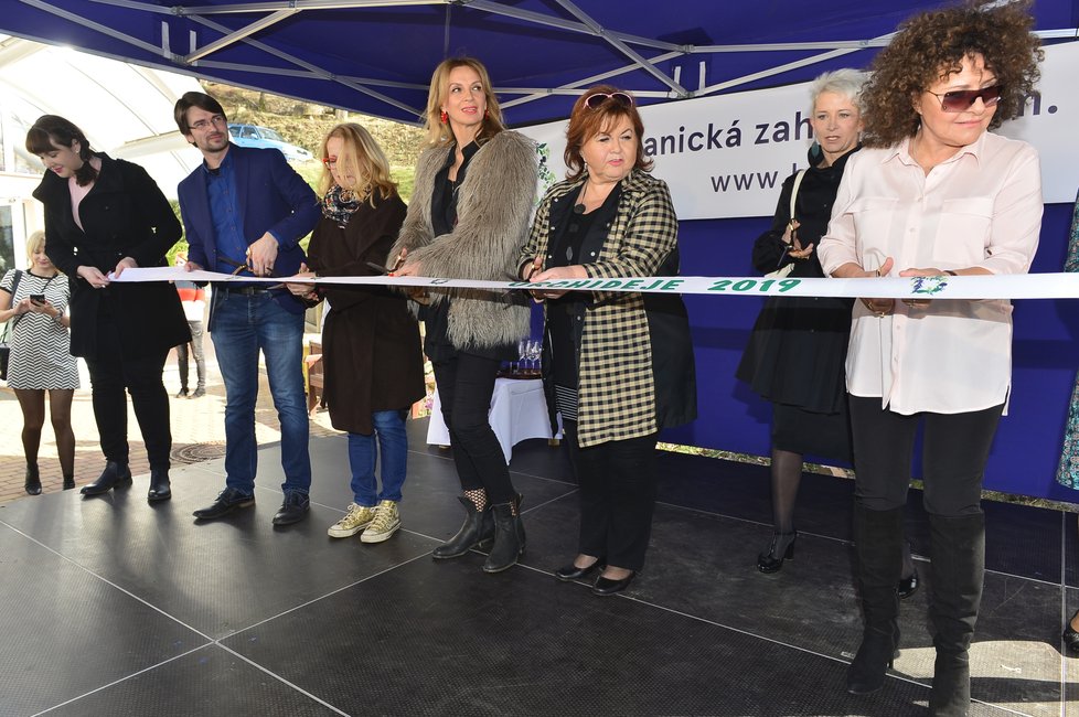 Kmotrami letošní výstavy orchidejí se staly Ivana Chýlková, Jitka Zelenková, Hana Křížková a Jitka Asterová.