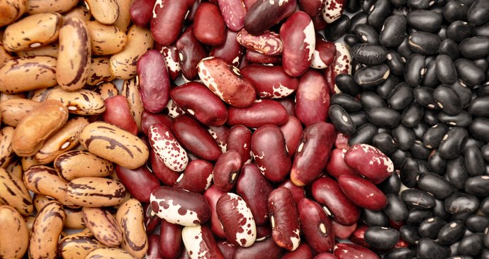 Novinky pro váš talíř: naučte se jíst bílkoviny, luštěniny a semínka