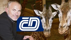 Po návratu se rozhodl vyměnit zvířata ze Zoo za džungli Českých drah