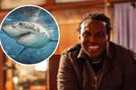 Podnikatele Felixe Louise N’Jaiho měl zabít žralok.