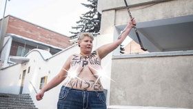 Členka Femen se během 2. kola prezidentských voleb svlékla před českou ambasádou v Kyjevě. Zemana označila za "kulhavou příšeru".