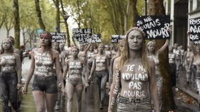 Aktivistky z Femen v Paříži protestovaly proti vraždám žen