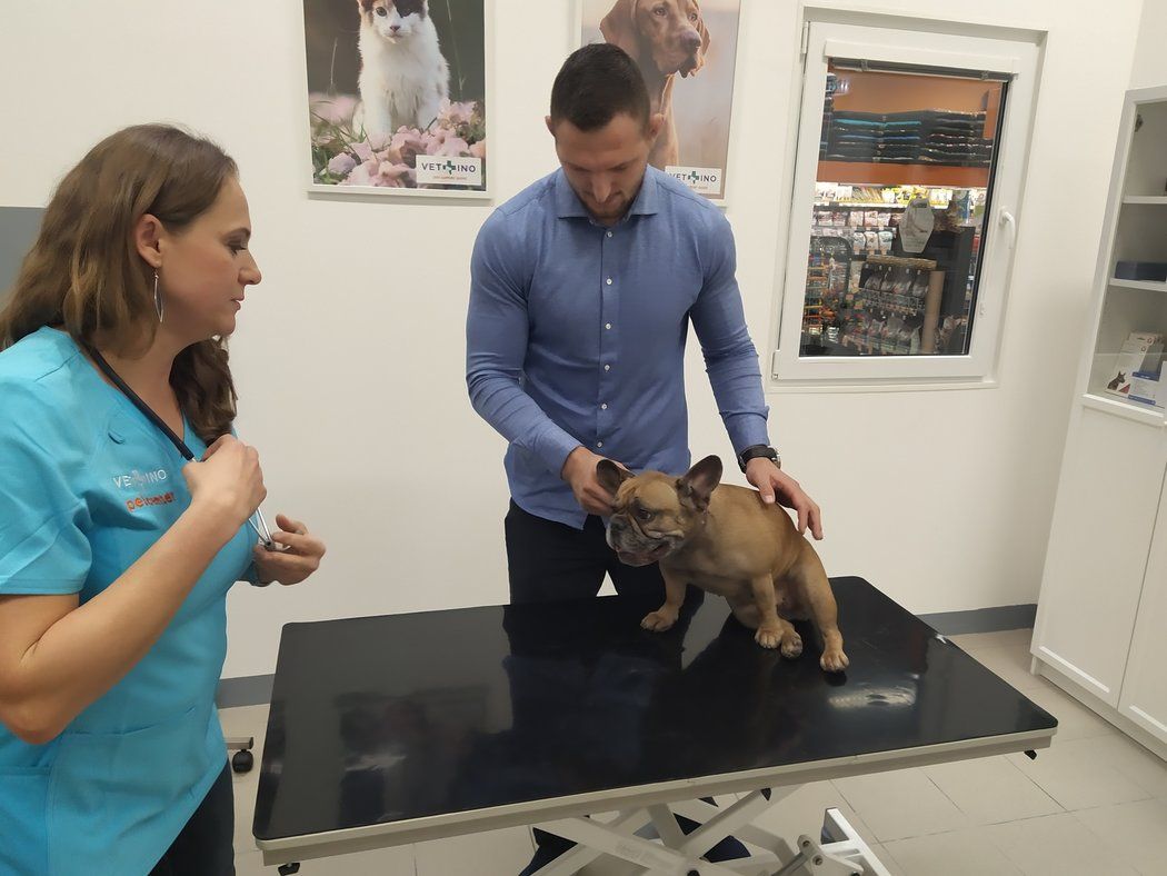 Mistr světa a olympijský vítěz v judu Lukáš Krpálek vyrazil s fenkou francouzského buldočka Olivou k veterináři.