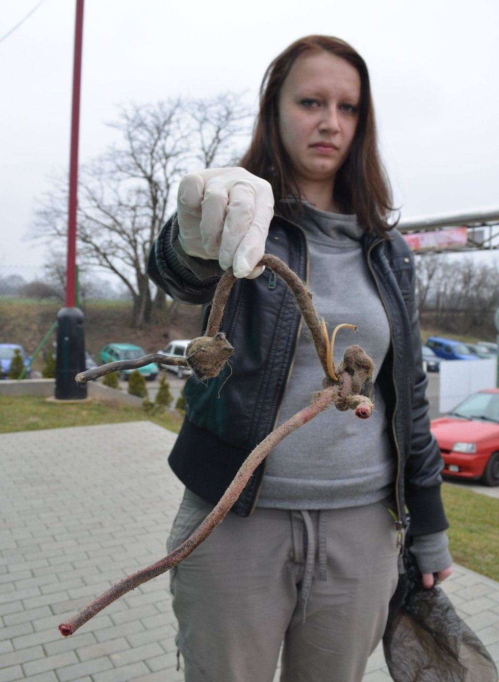 Vedoucí útulku v Chrudimi Denisa Škvrňová ukazuje škrtidlo, které zřejmě už jako malé štěně nosila na krku nalezné fanka Rosi. Šlo o spojené kusy kabelů a lana.
