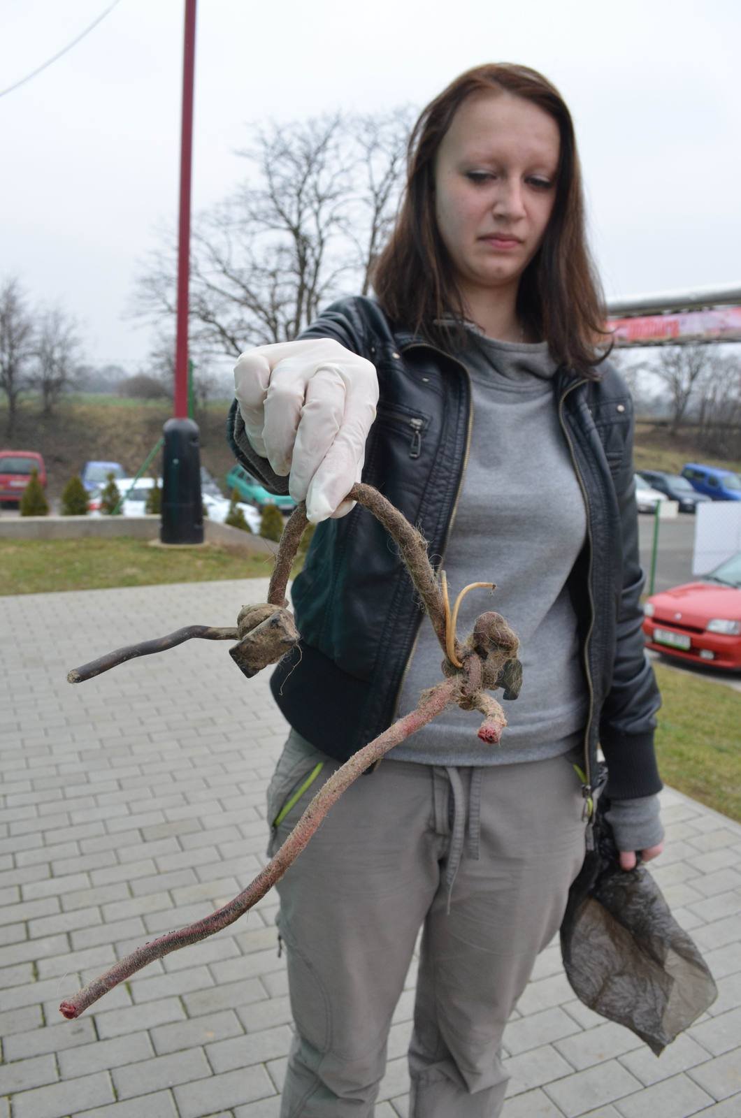 Vedoucí útulku Denisa Škvrňová ukazuje spletenec lana a kabelu, který fenka nosila na krku.