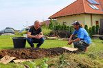 Ferdinandovy zahrady: Jak ze špatné zeminy vytvořit dobrou pro sázení rostlin?