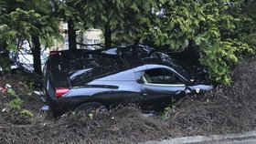 Ferrari v hodnotě téměř 6 milionů korun skončilo ve křoví.