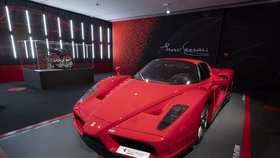 Mechanik luxusním autem Ferrari Enzo narazil do pařezu! Z auta za 73 milionů zbyl jen šrot.