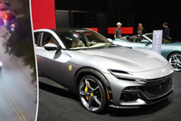 Šílená honička skončila nehodou: Kradené Ferrari vyletělo ze silnice