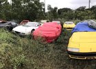 Opuštěná sbírka Ferrari několik let "hnila" na louce. Je za tím smutný příběh