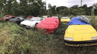 Opuštěná sbírka Ferrari skončila na louce. Část aut se dočká záchrany