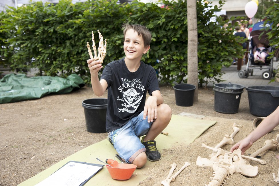 Podívejte se na záběry z loňského prvního a velmi povedeného ročníku festivalu