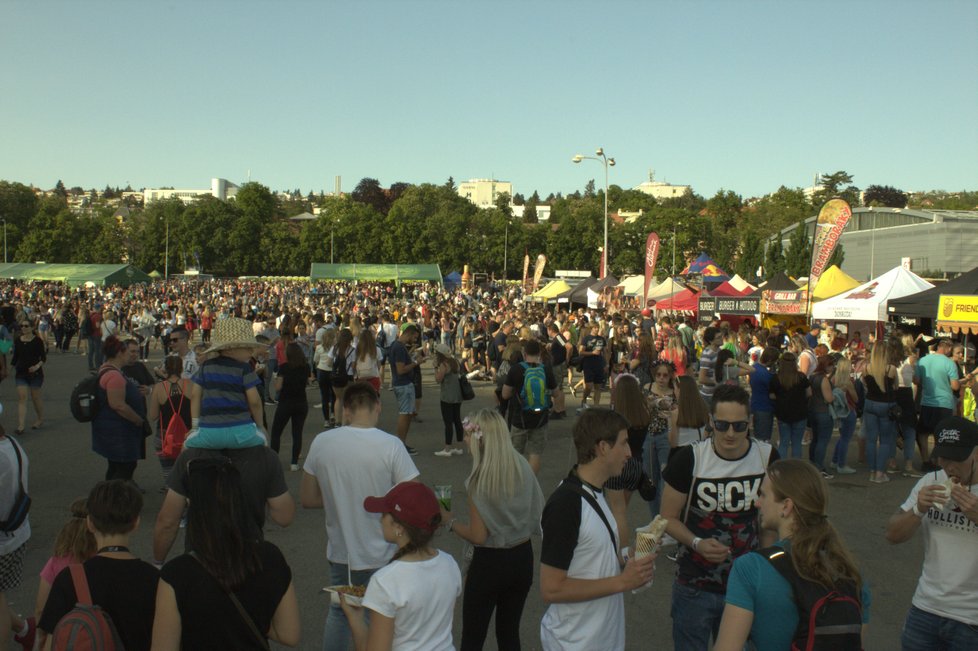 Vystoupil například Wohnout, Mandrage, Rytmus, Lenny nebo Tomáš Klus.