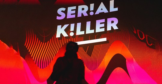 Festival Serial Killer