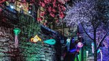 Festival světla rozbliká večerní Plzeň:  Nabídne pohled do lidského oka i pod hladinu moře