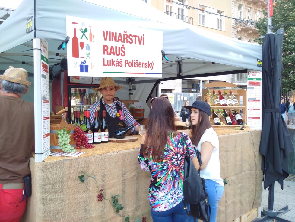 Zastoupeno je osmnáct vinařů a asi 250 vzorků vín.