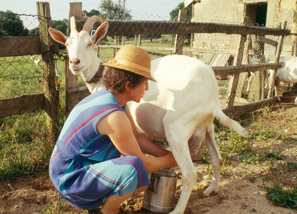Feta se vyrábí z kozího a ovčího mléka.
