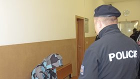 Feťák pod vlivem pervitinu srazil policistku a matku dvou dětí.