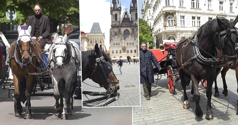 Praha od roku 2023 zruší stanoviště fiakrů, koně podle odborníků ve městě trpí.