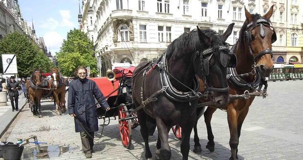 Praha od roku 2023 zruší stanoviště fiakrů, koně podle odborníků ve městě trpí.