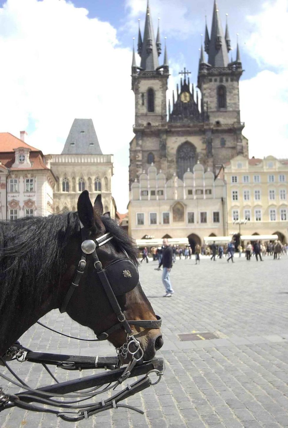 Praha od roku 2023 zruší stanoviště fiakrů, koně podle odborníků ve městě trpí.