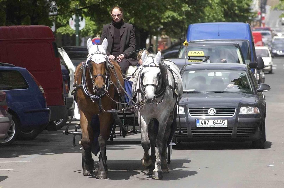 Praha od roku 2023 zruší stanoviště fiakrů, koně podle odborníků ve městě trpí.