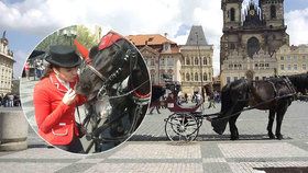 Pražský magistrát se bude opět zabývat zákazem fiakrů v metropoli. 