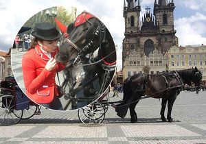 Pražští politici hodlají regulovat koňské povozy v centru Prahy. Ohání se přitom slovy o možném týrání zvířat. Podle fiakristů a povozníků však o žádném týrání nemůže být řeč.