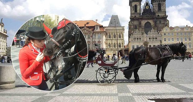 Pražští politici hodlají regulovat koňské povozy v centru Prahy. Ohání se přitom slovy o možném týrání zvířat. Podle fiakristů a povozníků však o žádném týraní nemůže být řeč.