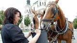 Vrátí se koňské povozy na Staromák? Cech fiakristů sepsal petici, pražští zastupitelé jsou nejednotní