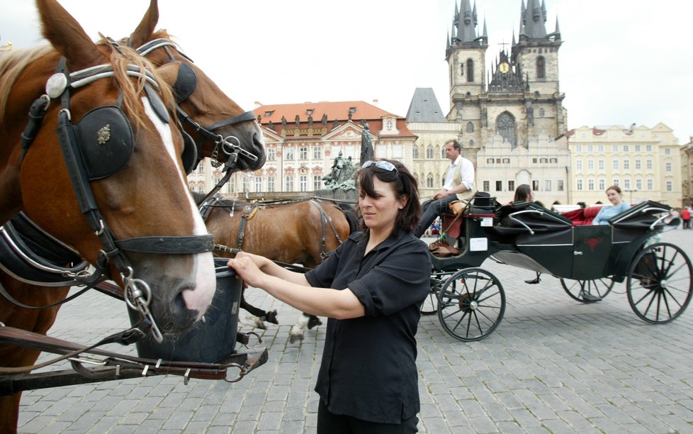 Praha od roku 2023 zruší stanoviště fiakrů, koně podle odborníků ve městě trpí.