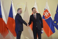 České stíhačky budou chránit slovenské nebe, slíbil Fiala. S Hegerem si notoval i o rozšíření NATO