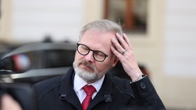 Volby ONLINE: Manévry na Hradě. Pavel Babiše zatím nepověřil sestavením vlády a první slova Fialy, u Pavla Výborný