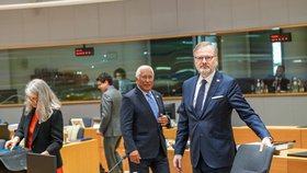 Summit v Bruselu: Premiér Petr Fiala (ODS) (23. 3. 2023)
