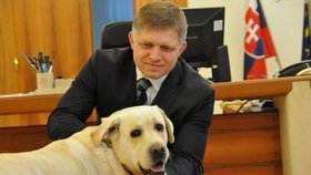 Robert Fico a jeho teď už zesnulý labrador Larry