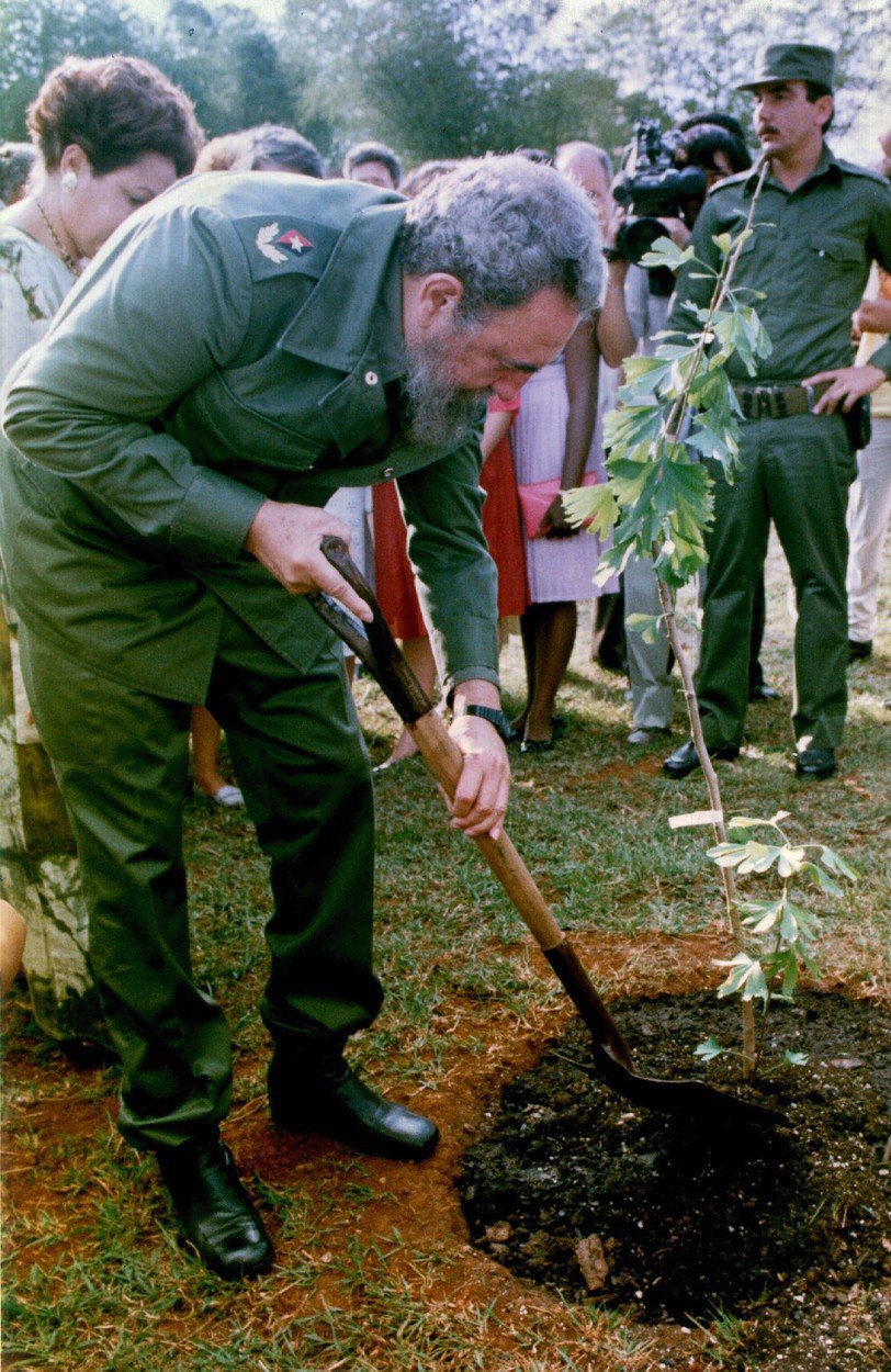 Castro zahradníkem. Fidel Castro v roce 1990 v Národní botanické zahradě v Havaně