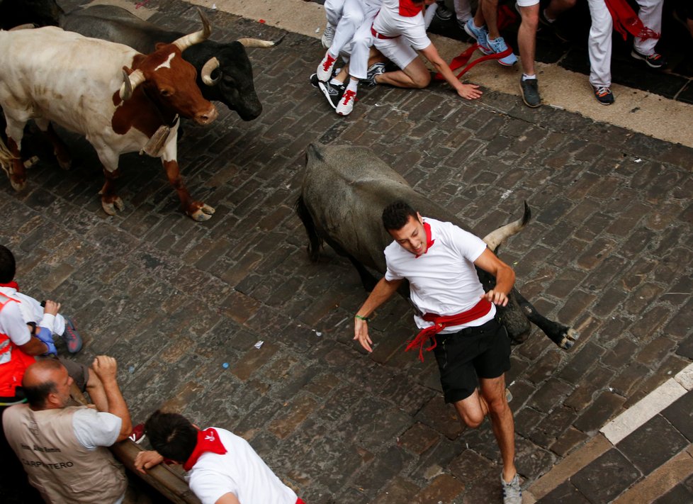 Ranní běh s býky ulicemi Pamplony