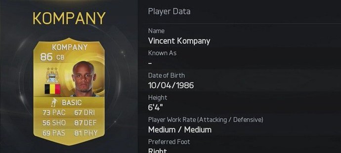 20. Vincent Kompany (Manchester City)