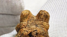 Nejstarší figurka člověka na světě