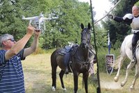 Kaskadérská škola pro filmové koně: Na farmě Rybníček se učí, jak zahrát smrt!