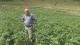 S českou pomocí teď Tušové pěstují rané odrůdy brambor