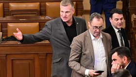 Filip Turek ve Sněmovně