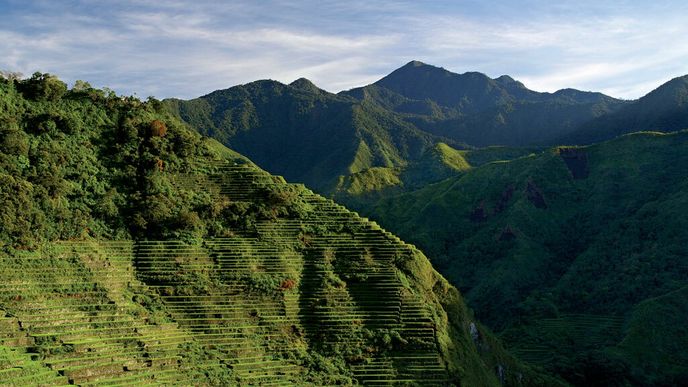 Jedny z nejúchvatnějších rýžových polí na světě skrývají hory severních Filipín
